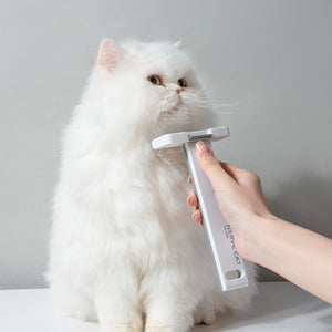 Transform Your Pet Grooming Routine with Our Floating Hair Removal Brush