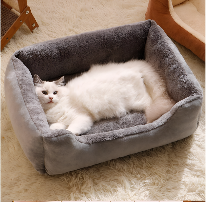 Cozy Comfort with Premium Pet Beds