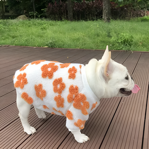 Stylish and Comfortable Pet Apparel