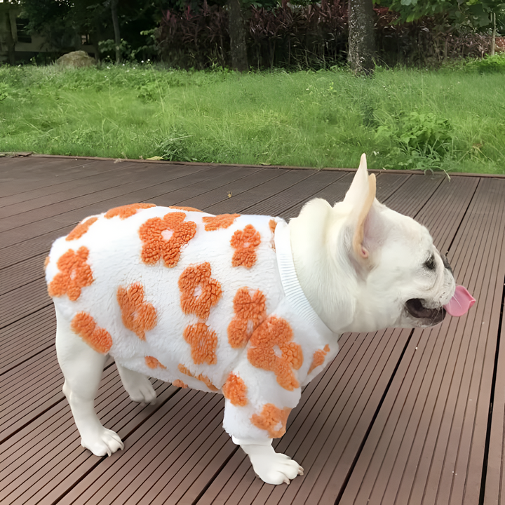 Stylish and Comfortable Pet Apparel