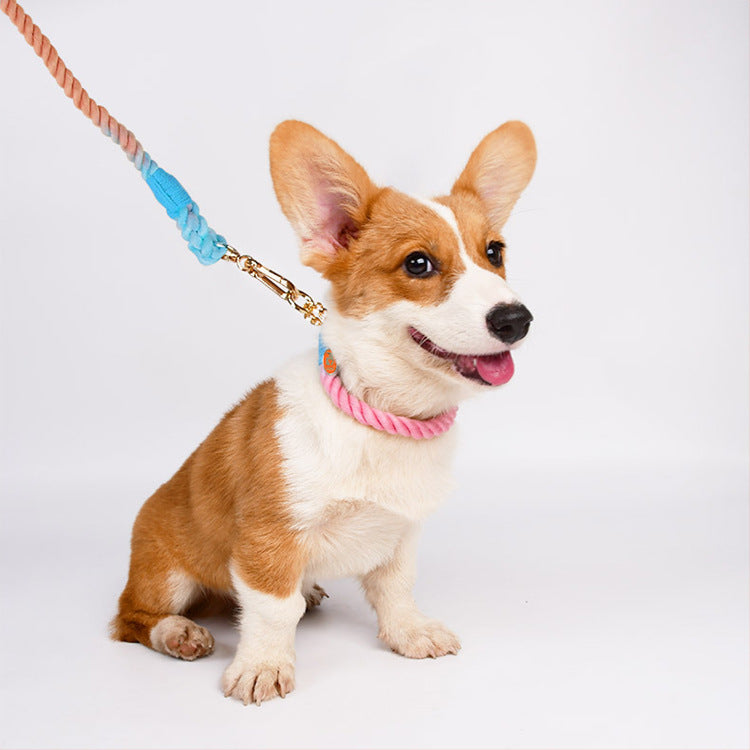 Woven Cotton Pet Collar And Leash Set Walking Tool