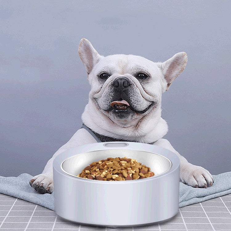Large Capacity Stainless Steel Pet Feeding Bowl With Scale