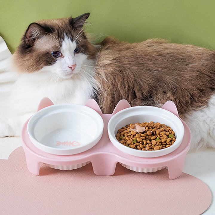 Tall Diagonal Ceramic Double Pet Water And Food Bowl Supplies