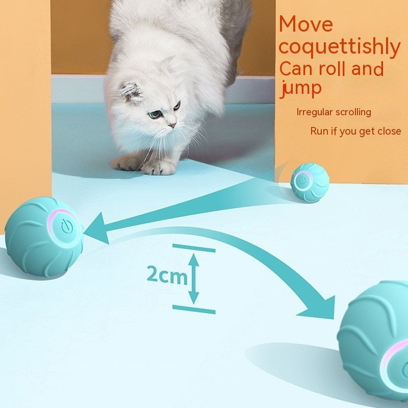 Smart Pet Rolling Ball Interactive Automatic USB Teasing Toy