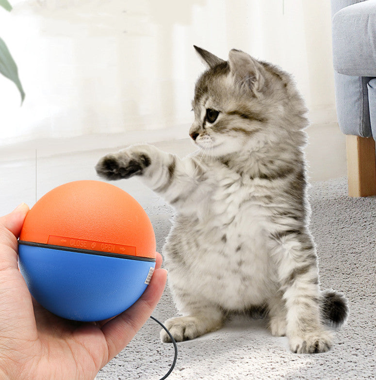 Automatic Intelligent Pet Teasing Ball Teeth Grinding Toy
