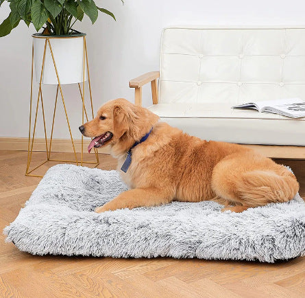 Plush Square Pet Bed With Memory Foam Deep Sleep Comfort