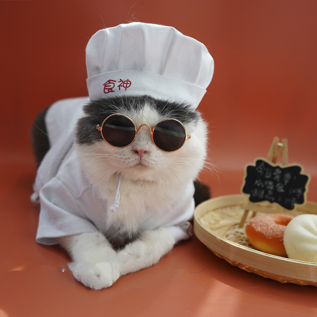 Pet Small Changing Clothes Suit