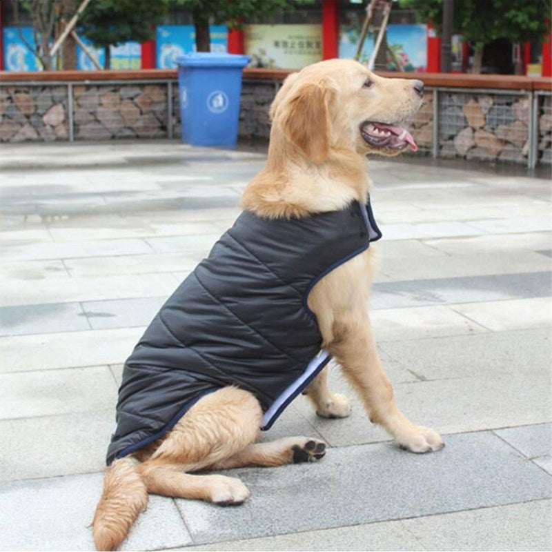 Pet Winter Cotton Coat Clothing Suit