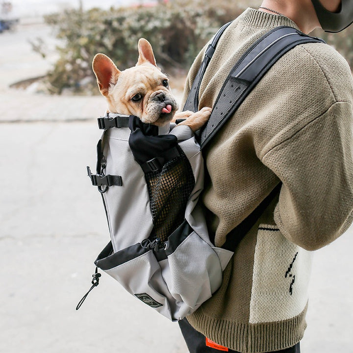 Pet Carrier Backpack Portable Travel Outdoor Double Shoulder Bag