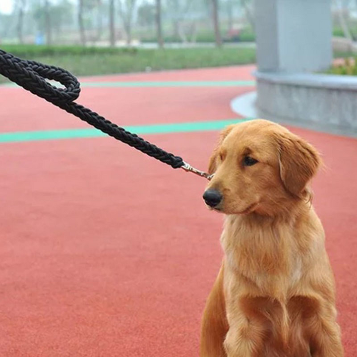 Eight Strand Braided Pet Walking Leash Durable Rope Tool