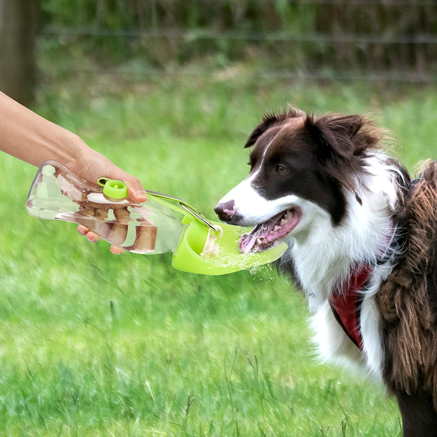 Pet Portable Leak Proof Water Dispenser Bottle Bowl Suit