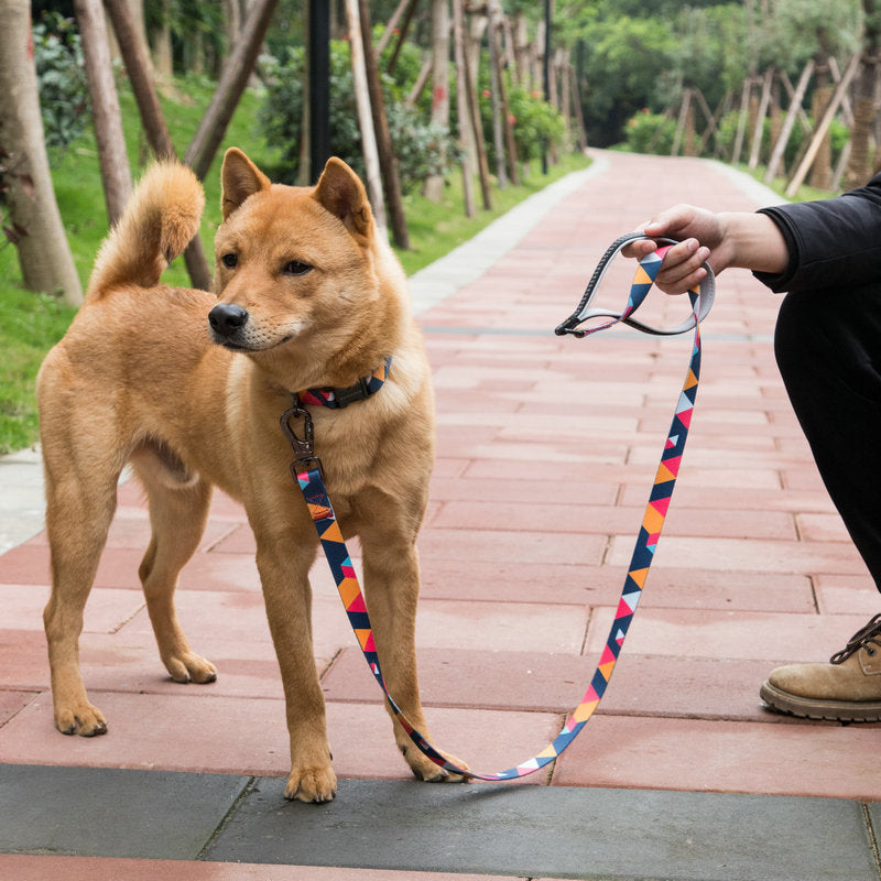 Pet Dog Leash Durable Adjustable Control Walking Rope