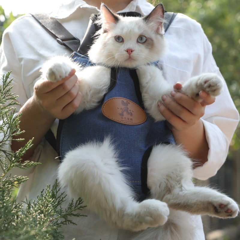 Portable Pet Backpack For Spring Outdoor Travel And Carrying