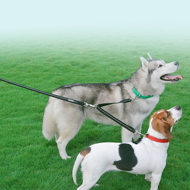 Double Headed Pet Nylon Reflective Leash Tool