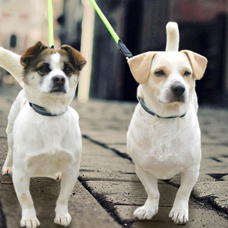 Double Headed Pet Nylon Reflective Leash Tool