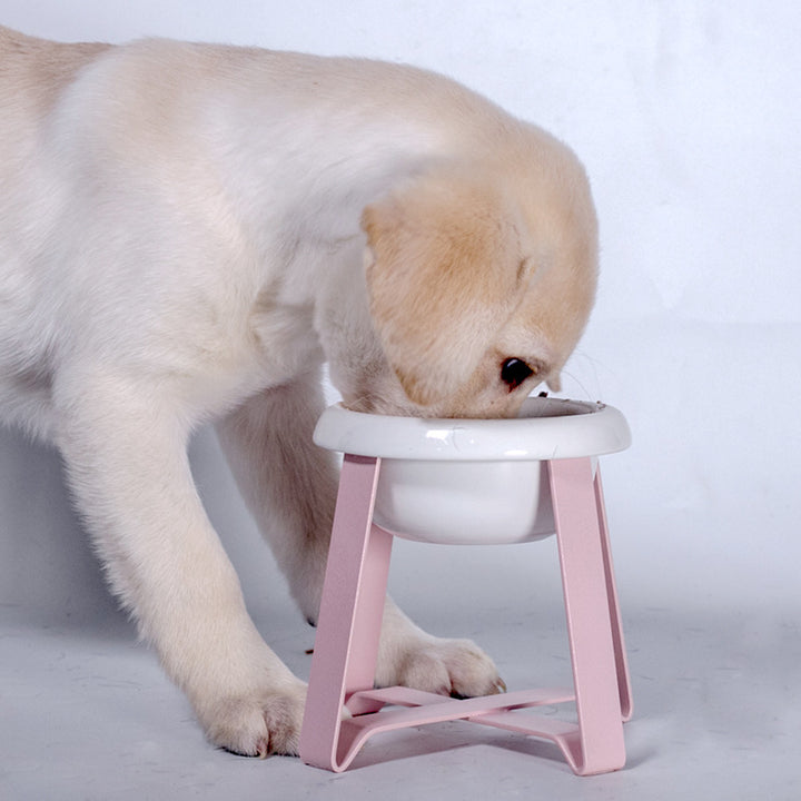 Anti Slip Feeding Bowl With Iron Stand Pet Feeder