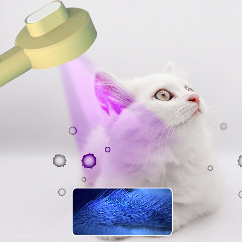 Hoopet 2 In 1 Pet Comb UVC Detection Grooming Brush Tool
