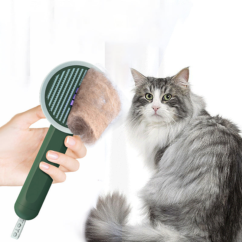 Hoopet 2 In 1 Pet Comb UVC Detection Grooming Brush Tool