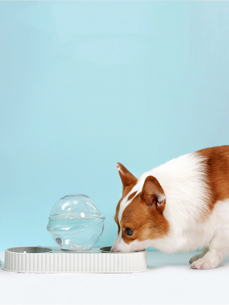 Pet Automatic Feeding And Drinking Bowl Dispenser Suit
