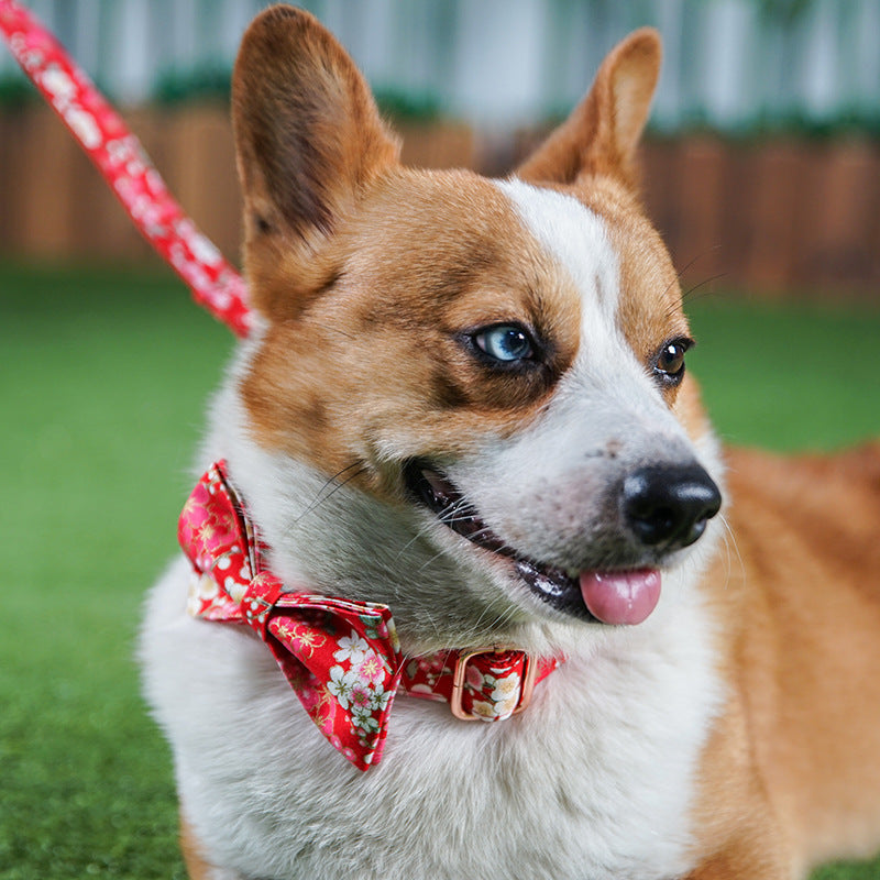 Pet Floral Collar And Leash Set Female Walking Tool