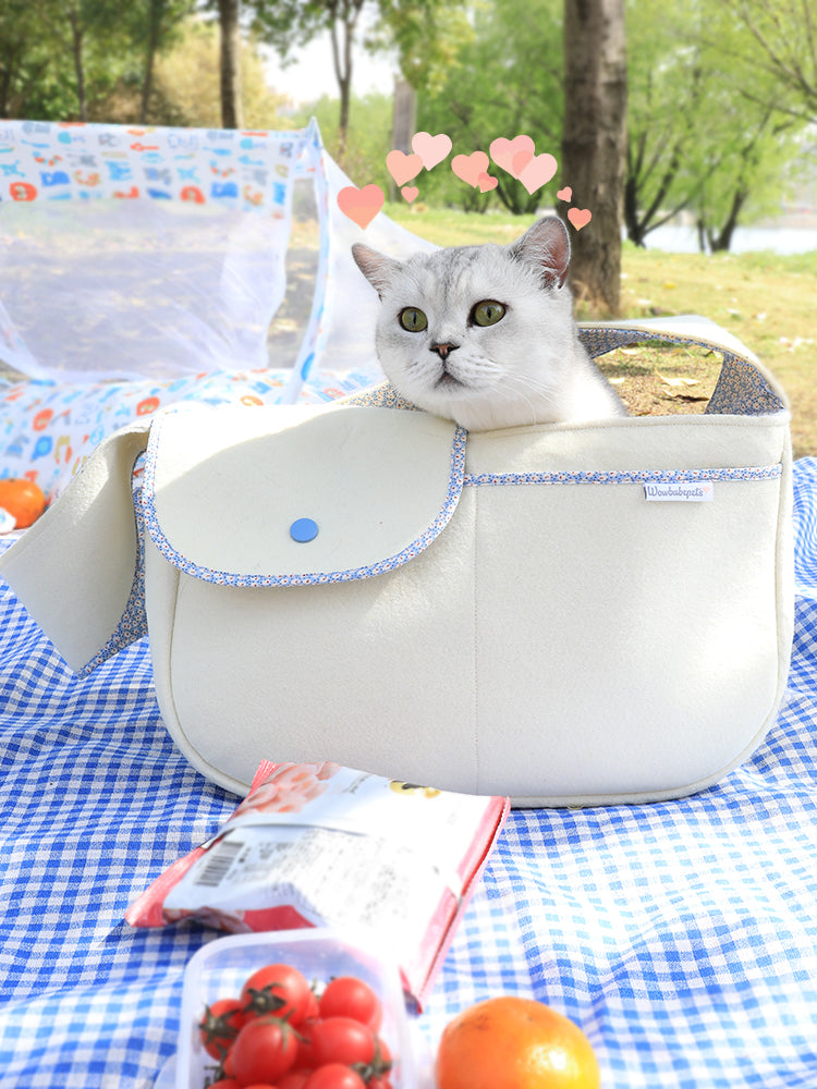 Korean Style Portable Pet Travel Bag Carrier Outdoor Bag