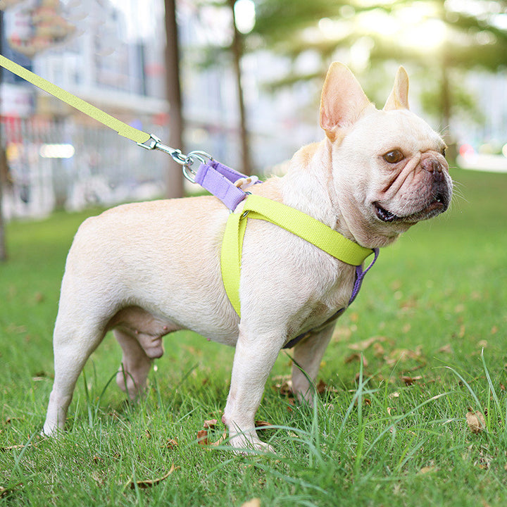 Color Pet Drawstring Vest Style Harness Pet Leash