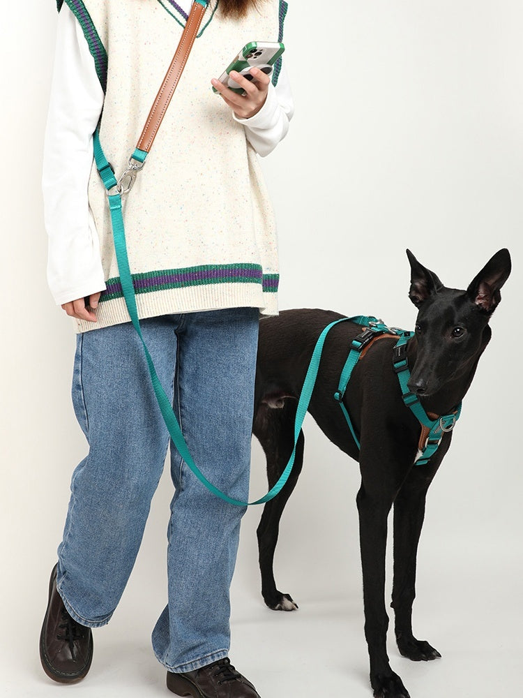 Knitted Pet Traction Rope Chain Durable Walking Leash Tool