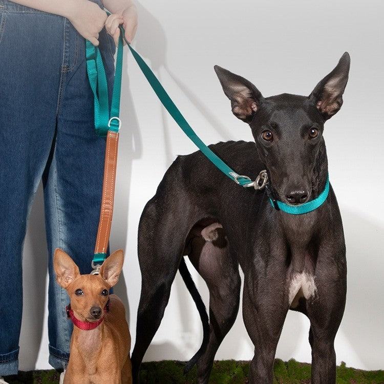 Knitted Pet Traction Rope Chain Durable Walking Leash Tool