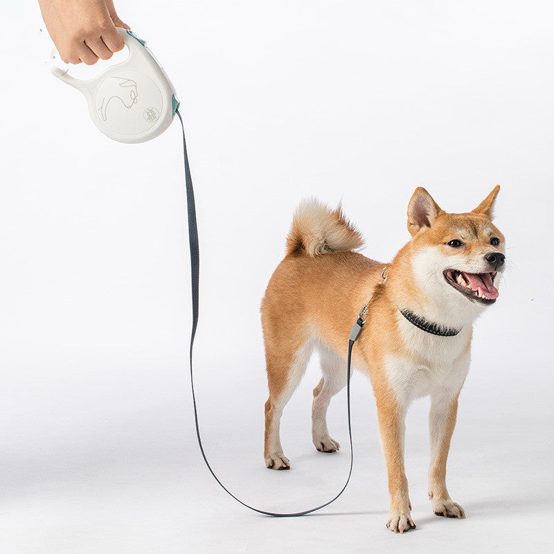 Retractable Pet Leash Adjustable Walking Tool