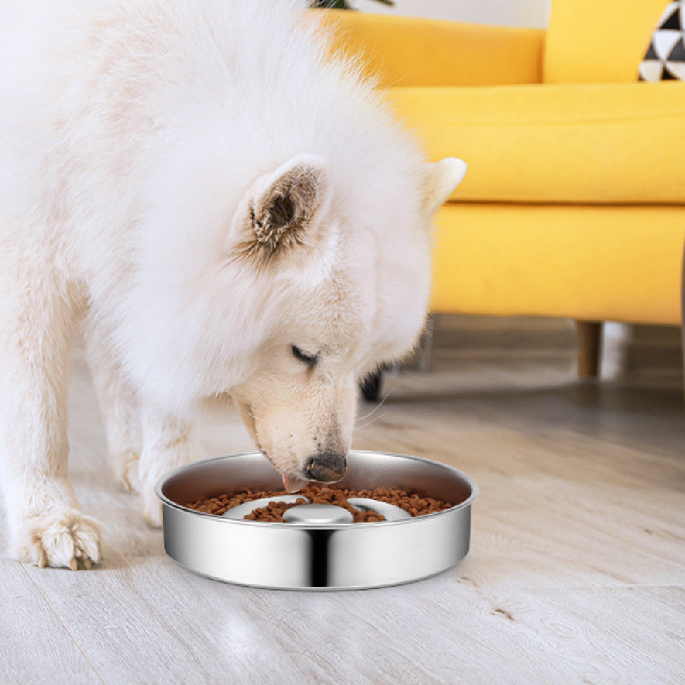 Pet Stainless Steel Slow Feeding Bowl Neck Protector Suit