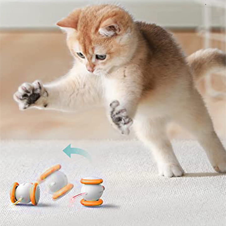 Electric Intelligent Pet Teasing Charging Interactive Toy