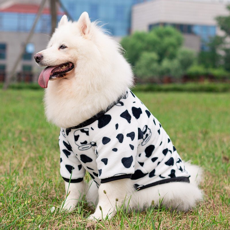 Pet Fashion Transformation Clothing Dress Suit