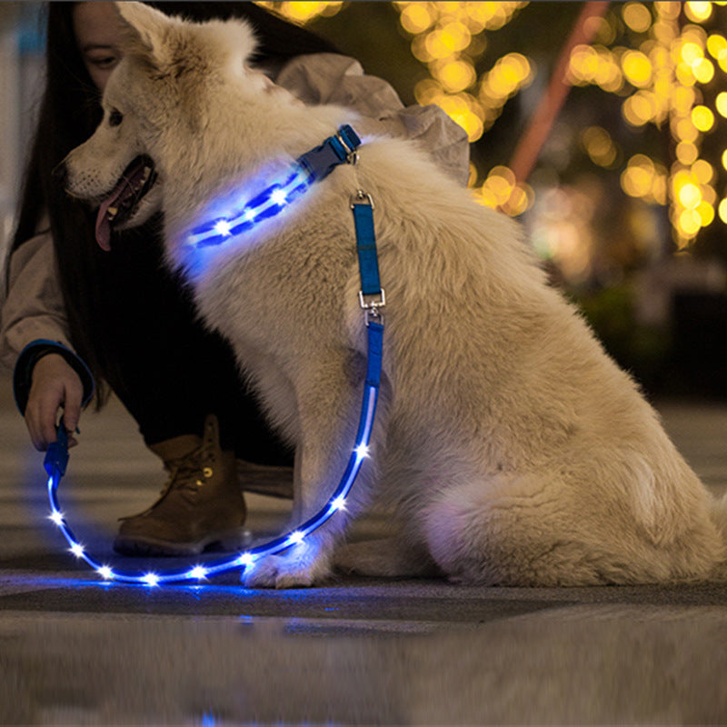 LED USB Charging Luminous Pet Leash Creative Durable Walking Rope
