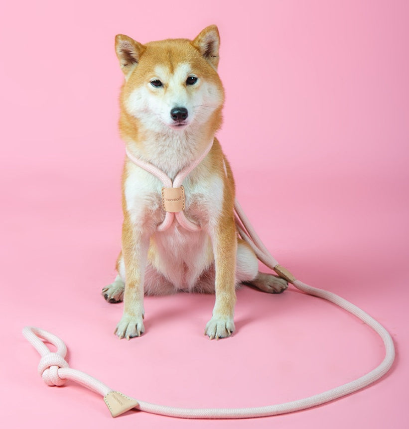 Pet Dual Purpose Round Rope Leash Integrated Walking Tool