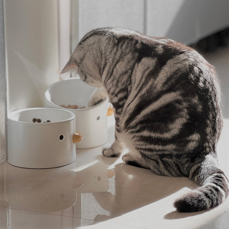 Slanted Ceramic Tall Pet Water Bowl