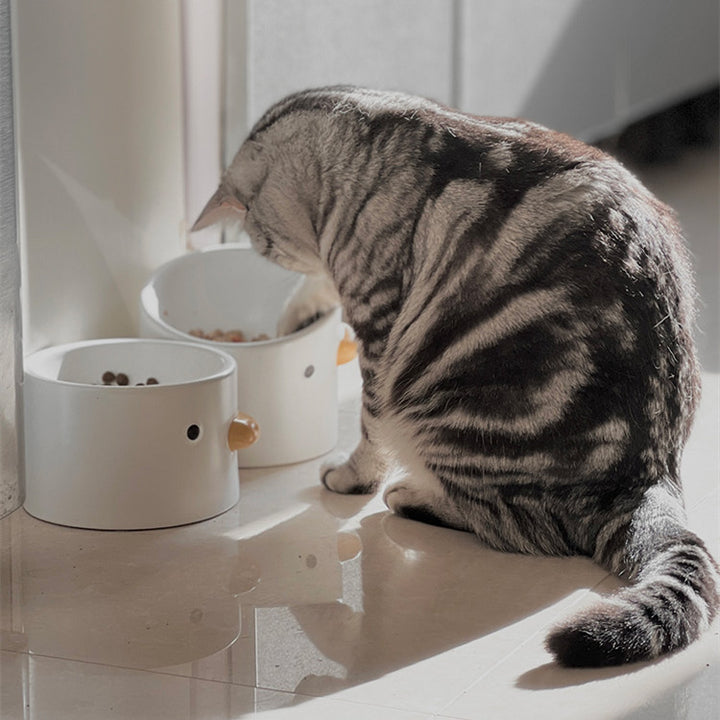 Slanted Ceramic Tall Pet Water Bowl