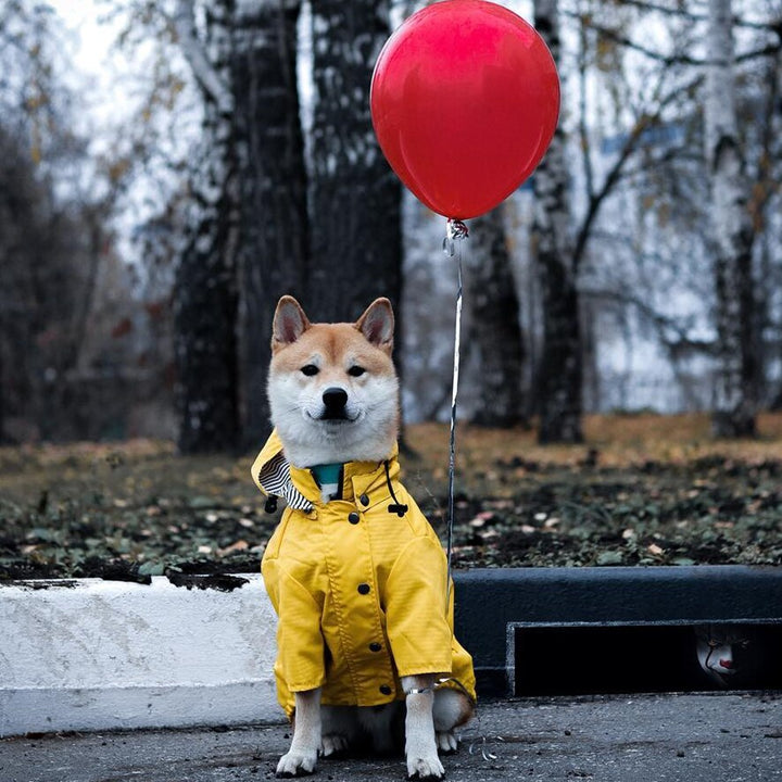 Waterproof Pet Raincoat Durable Protective Clothing