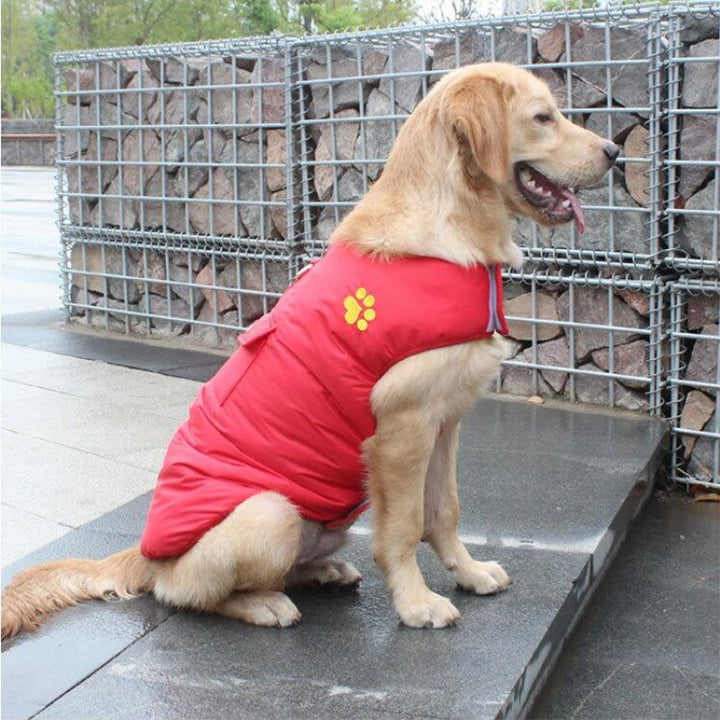 Pet Winter Cotton Coat Clothing Suit