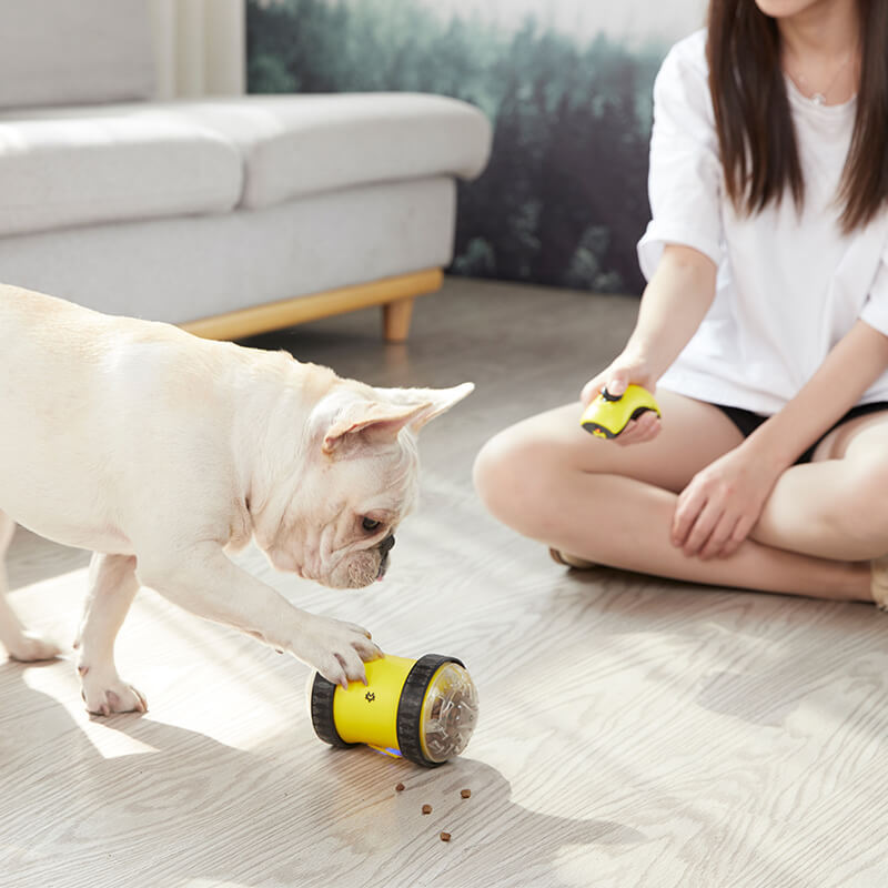 Remote Control Pet Food Dispensing Interactive Toy Vehicle