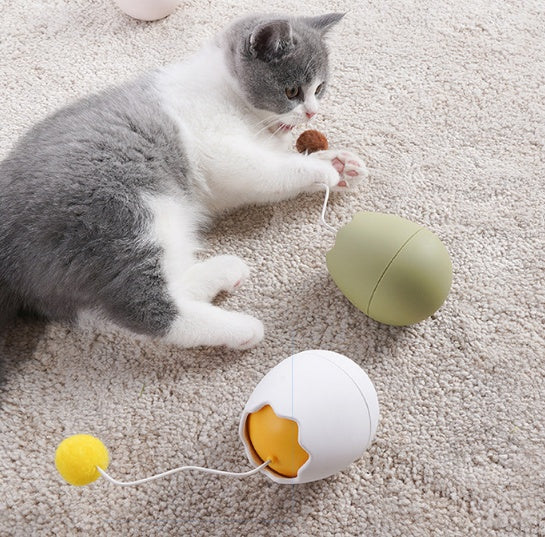 Funny Pet Interactive Toy Entertainment Enrichment Accessory