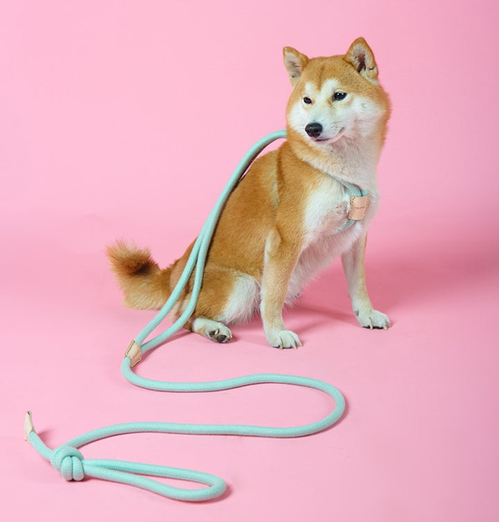 Pet Dual Purpose Round Rope Leash Integrated Walking Tool