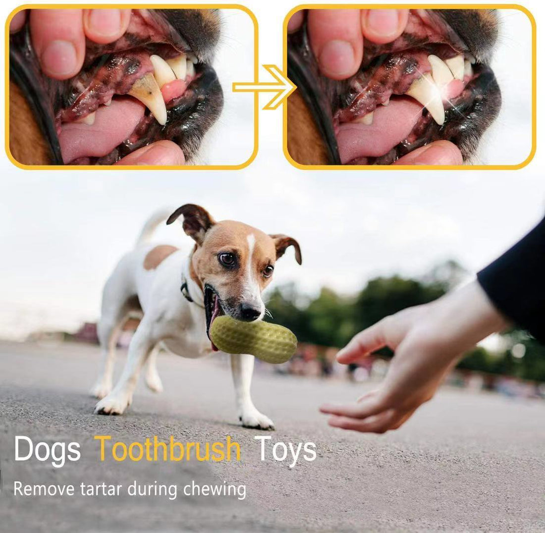 Funny Pet Squeaky Chew Toy Bite Resistant Dental Rubber