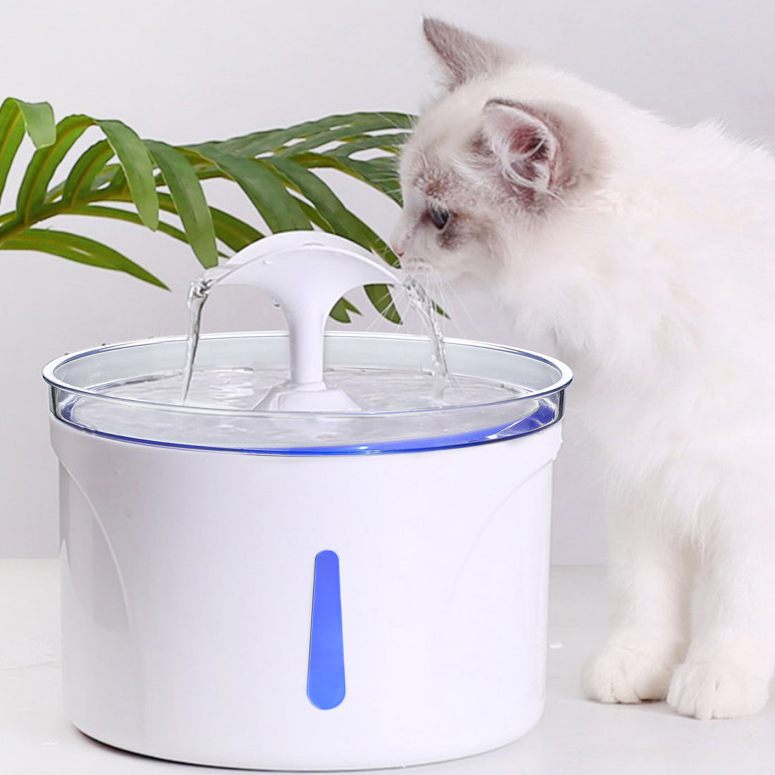 Automatic Circulating Water Pet Drinking Basin Feeder