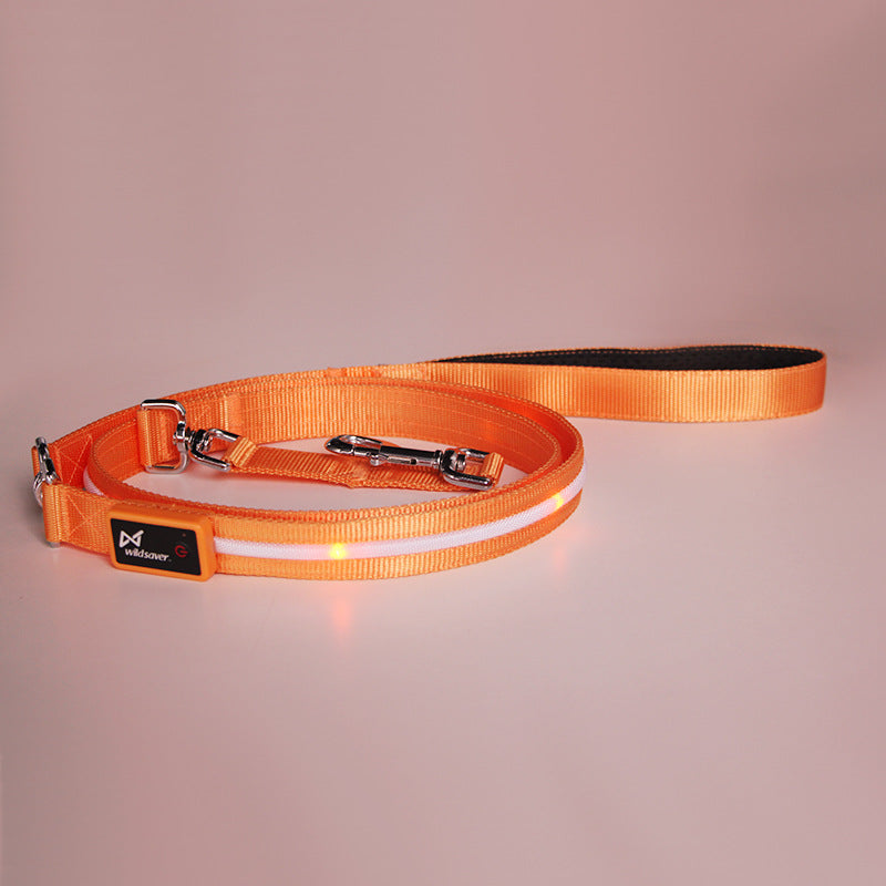 LED USB Charging Luminous Pet Leash Creative Durable Walking Rope