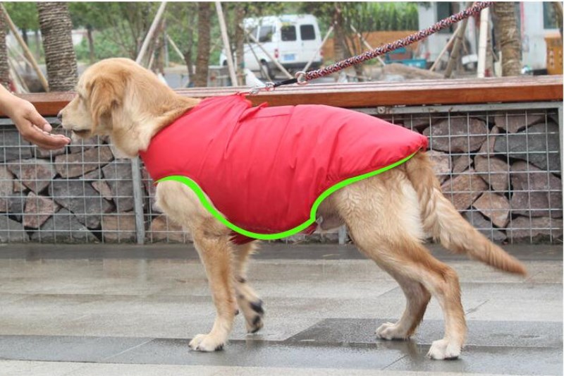 Pet Winter Cotton Coat Clothing Suit