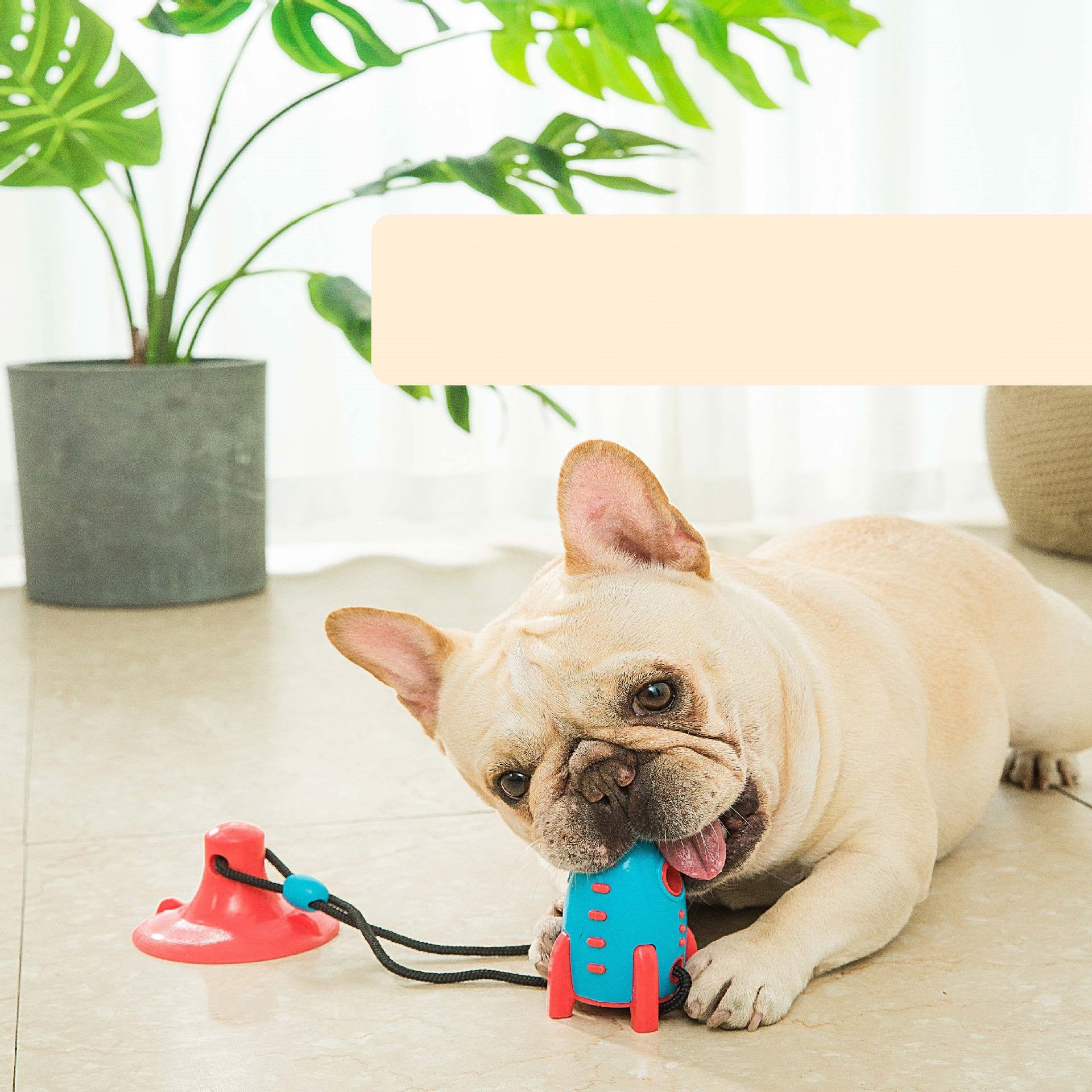Rocket Pet Food Dispensing Bite Resistant Interactive Toy