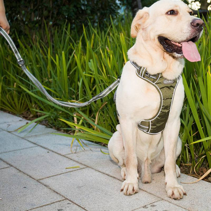 Fluorescent Pet Elastic Retractable Leash Explosion Proof Tool