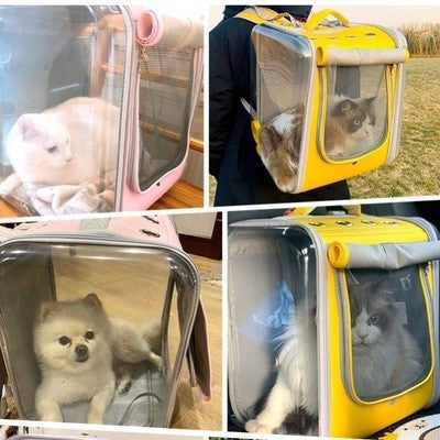 Portable Pet Backpack Travel Carrying Bag For Outdoor Use