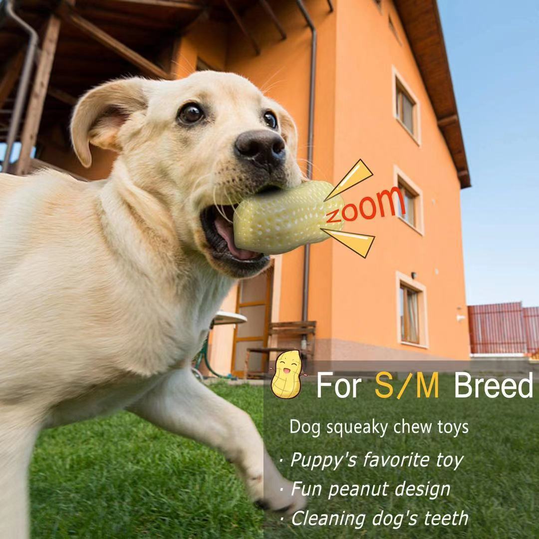 Funny Pet Squeaky Chew Toy Bite Resistant Dental Rubber