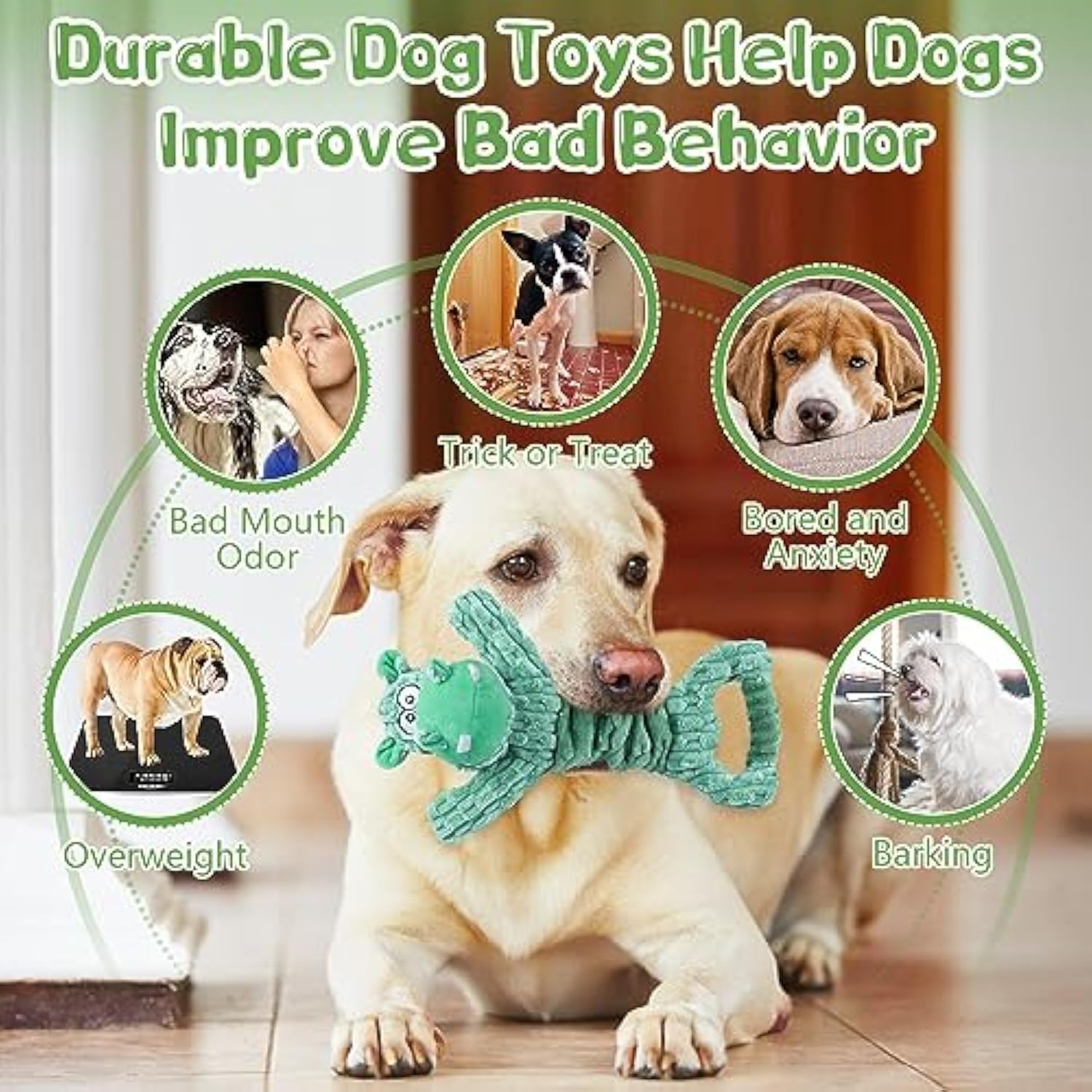 Large Plush Pet Squeaky Tug Of War Indoor Play Toy